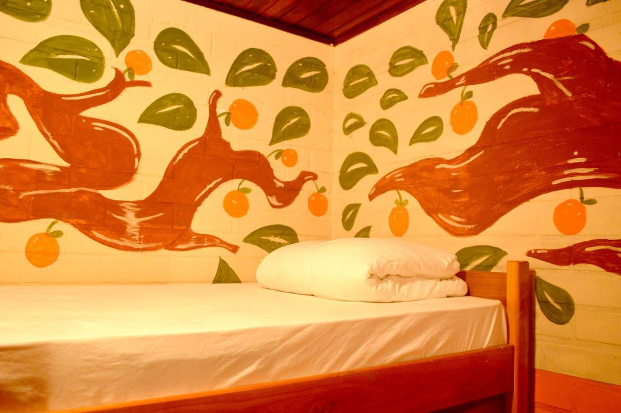 Florianópolis Floripa Backpackers Home المظهر الخارجي الصورة